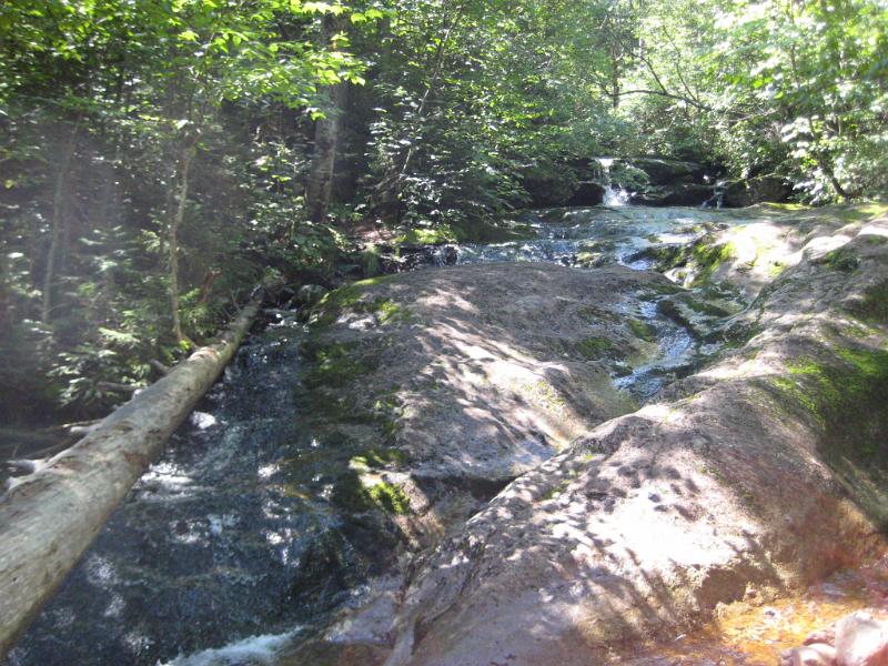 GooseEye-d (2).JPG - This series of cascades was at the north/south trail intersection. The north trail goes off into the woods near the end of the fallen tree.
